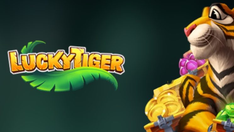 Why Lucky Tiger’s online format feels more convenient